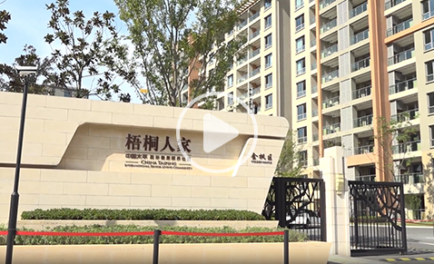 第一財經報道中國太平上海梧桐人家養老社區（2019年11月16日）